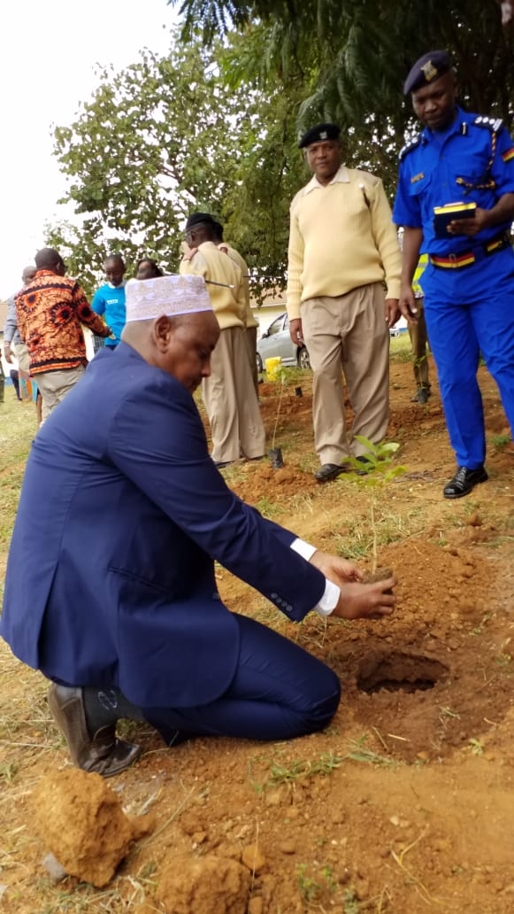 Pictures during the event