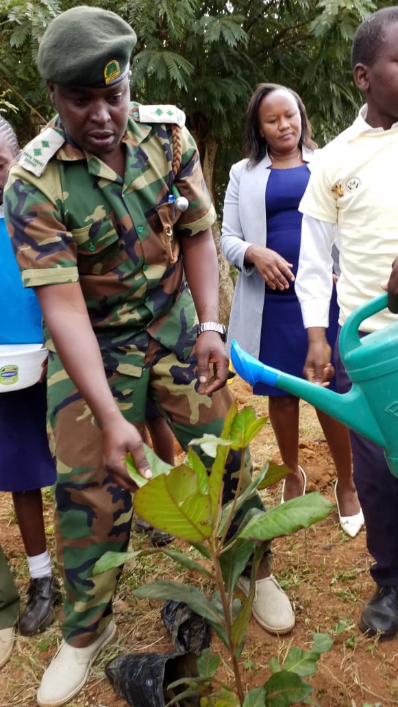 Pictures during the event