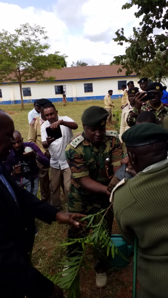 Pictures during the event